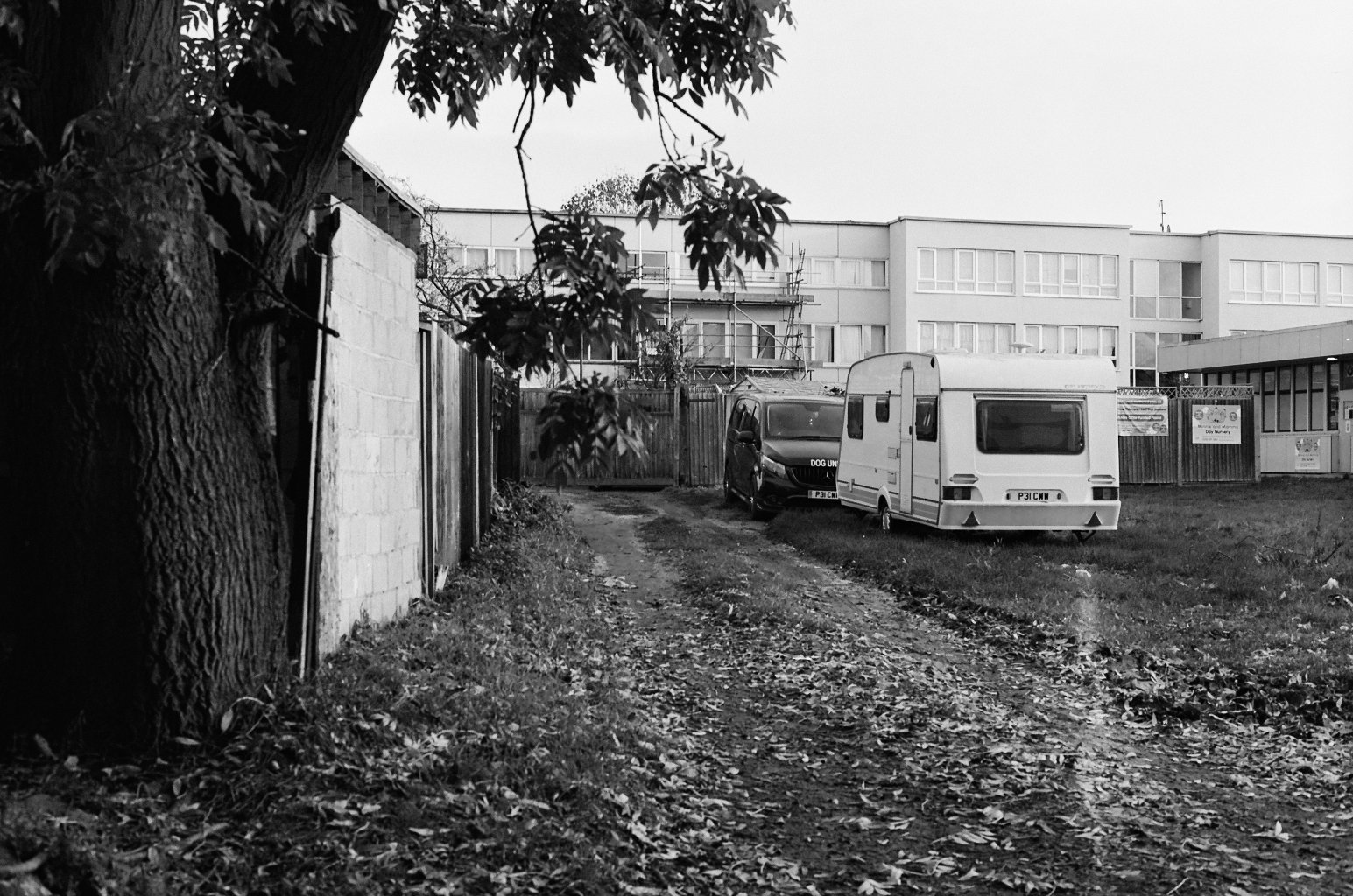 image00033.jpeg