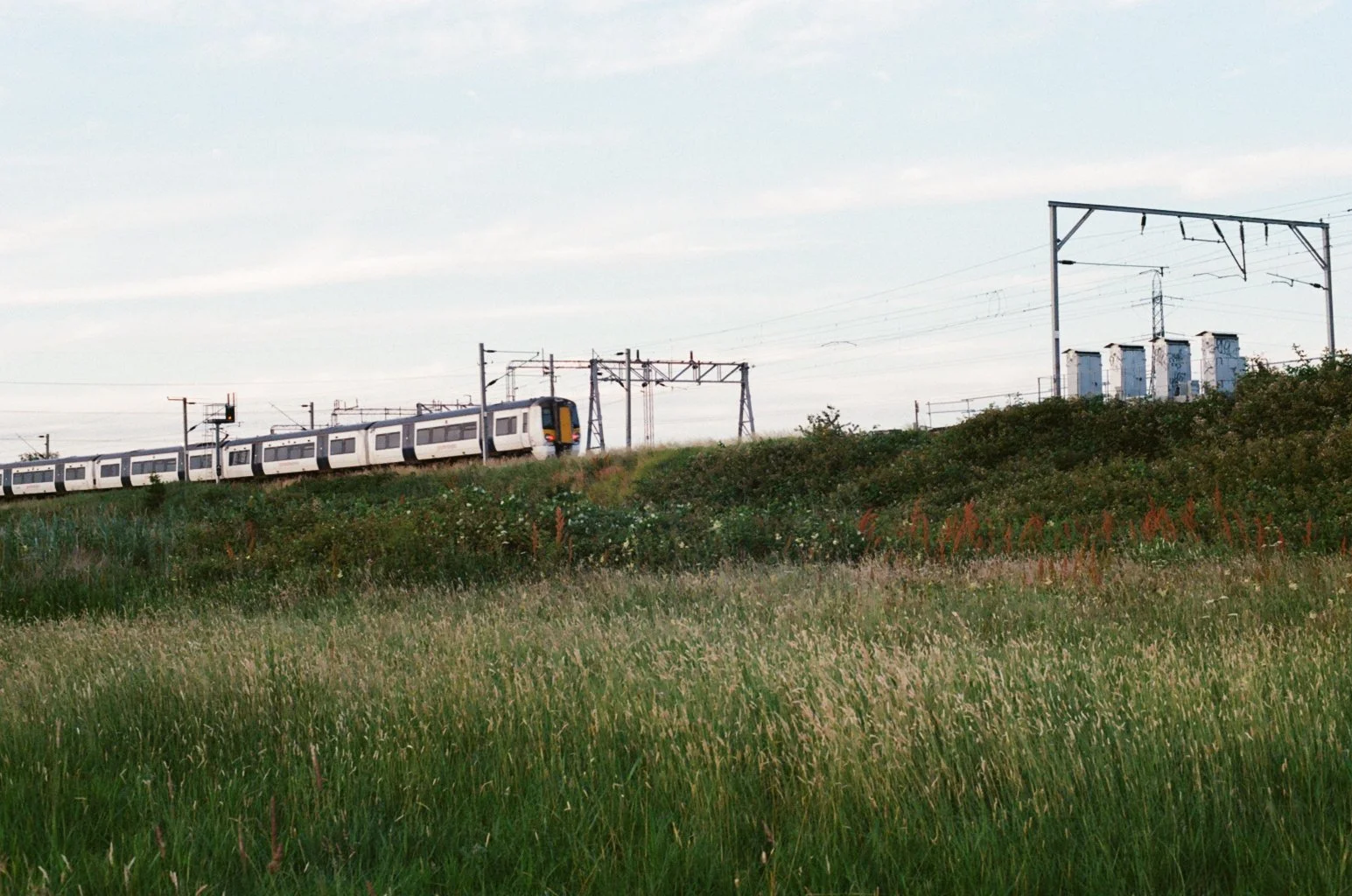image00003.jpeg