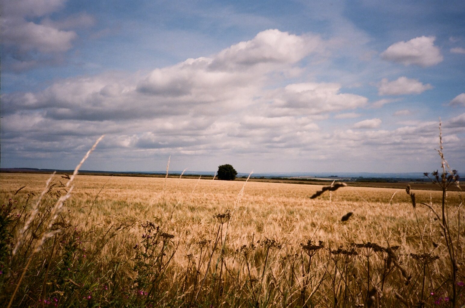 image00043.jpeg