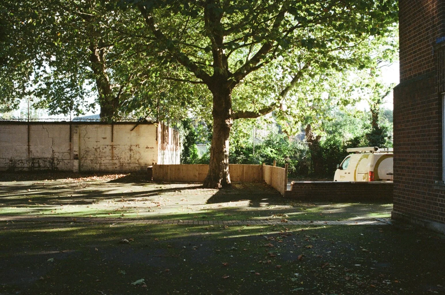 image00094.jpeg