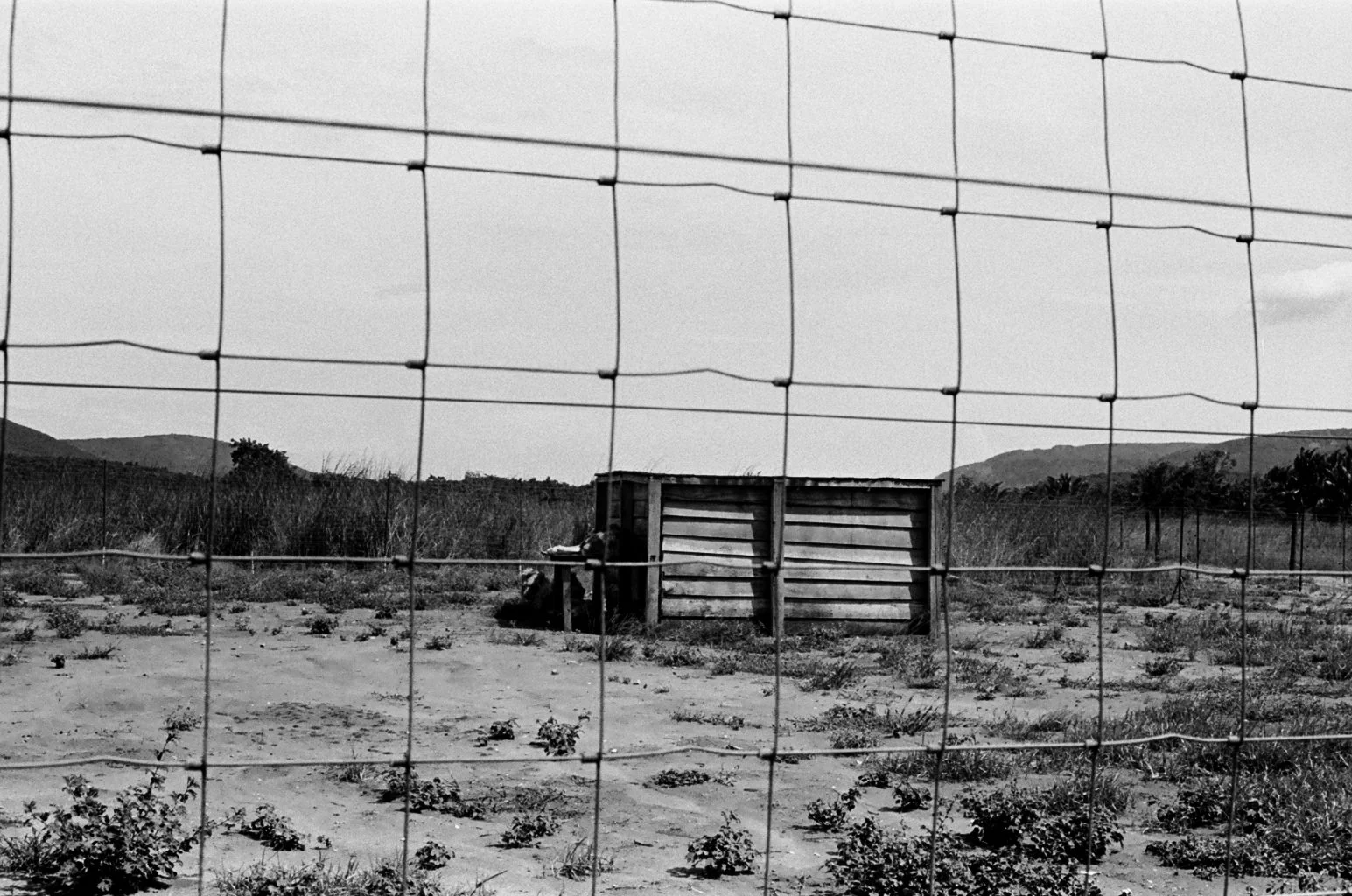 image00065.jpeg