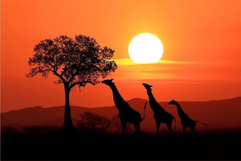 Turismo-Sudafrica.jpg