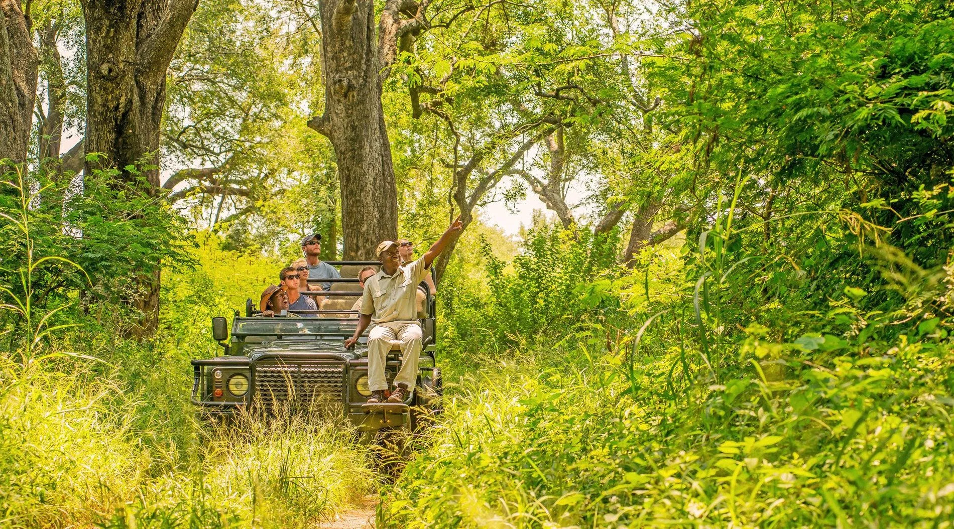 karongwe-river-lodge-activities-game-drive-01.6d50ef8f.jpg