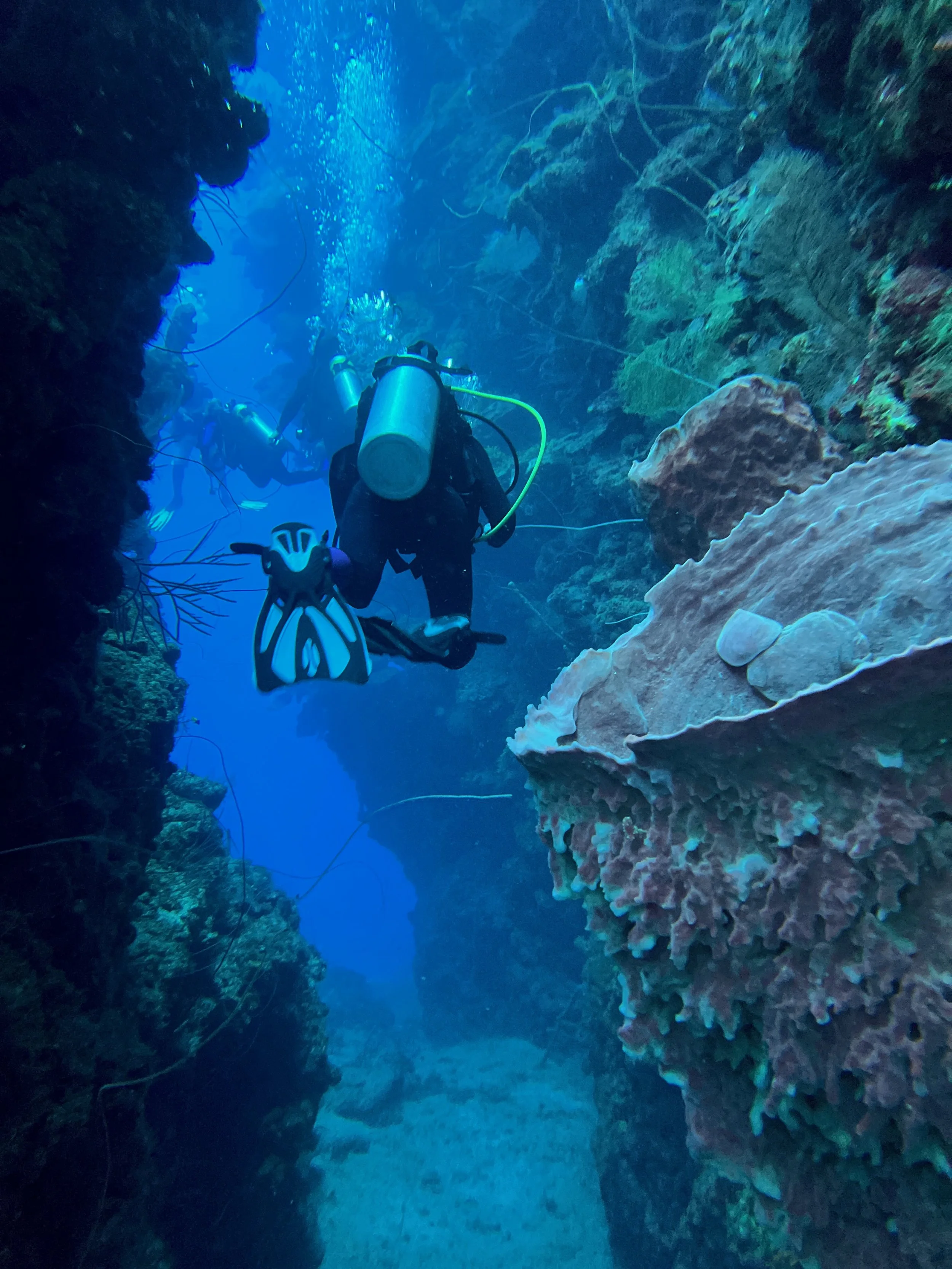 Divers exploring an underwater coral reef with colorful rocks and marine life.
