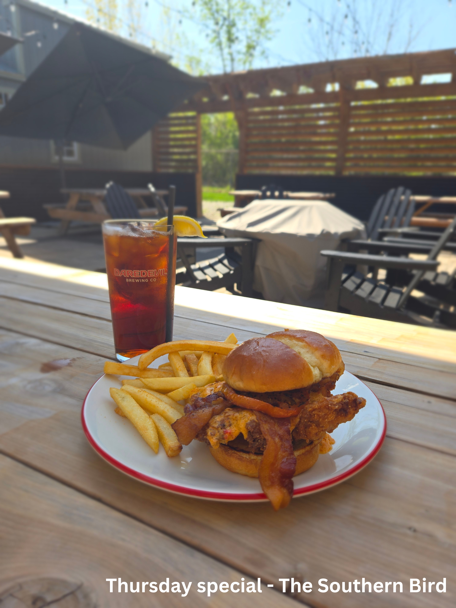 Thursday special - The Southern Bird.png