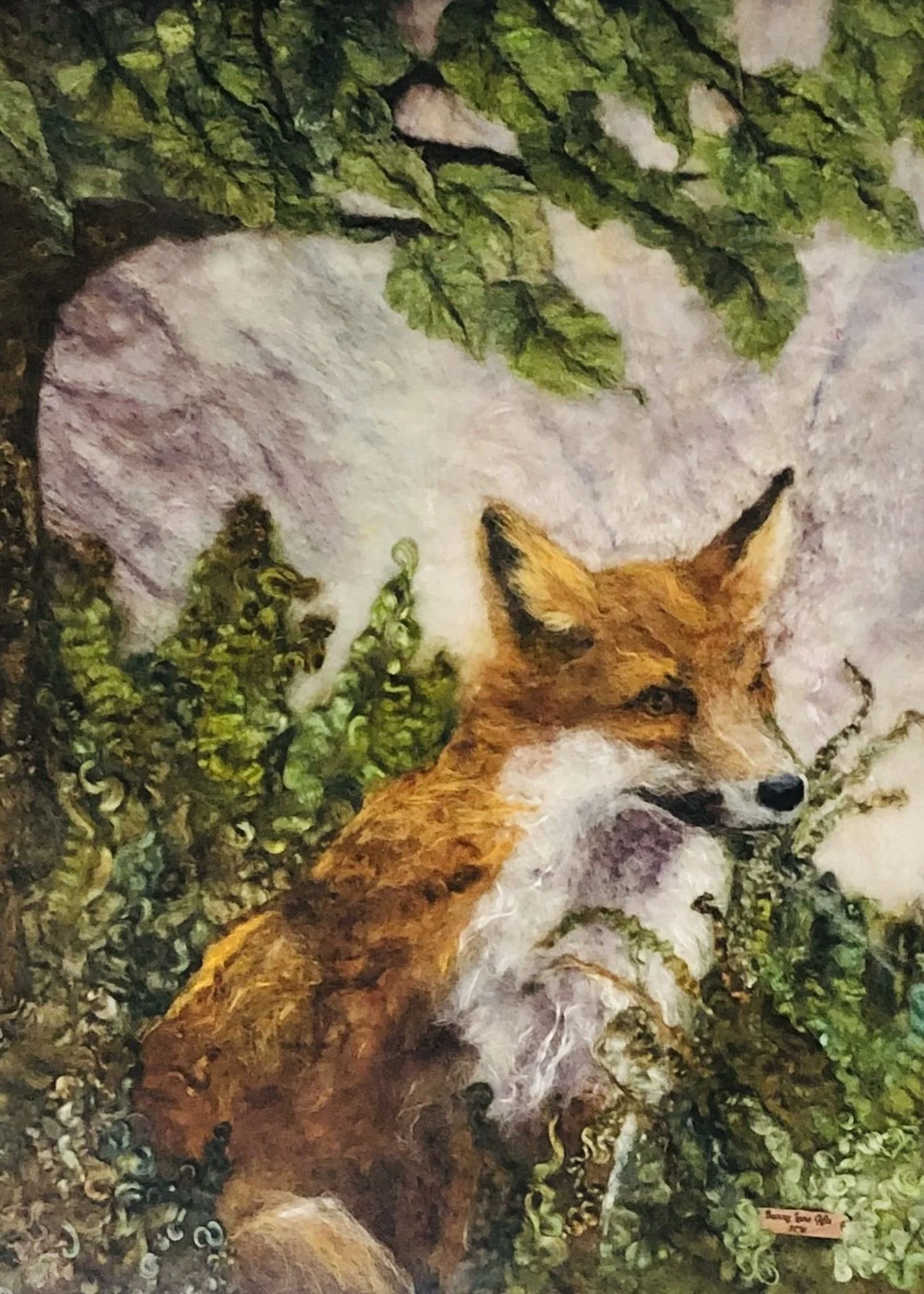 Forest Edge Fox