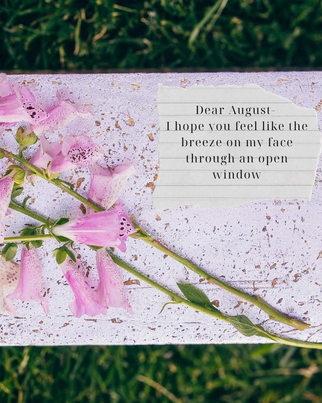 🌸🩷🩰