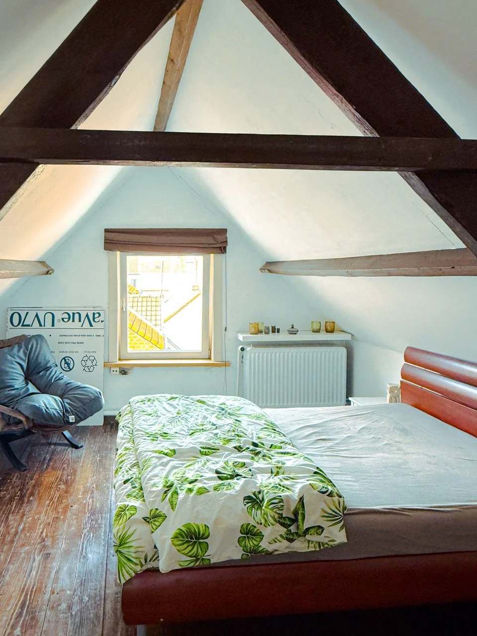 IMG_3517 3 groot.jpeg