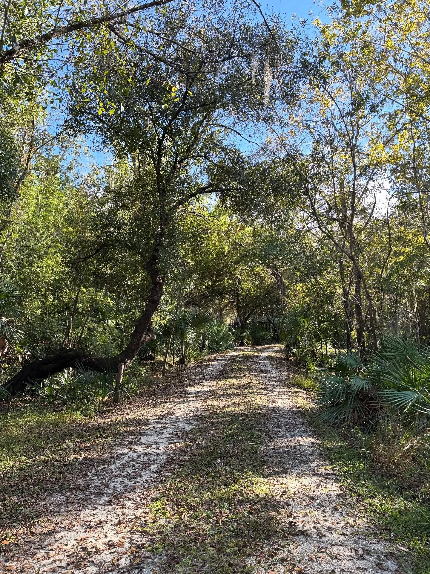 Sometimes the longest roads lead to the sweetest treasures #thehealthiswealthproject