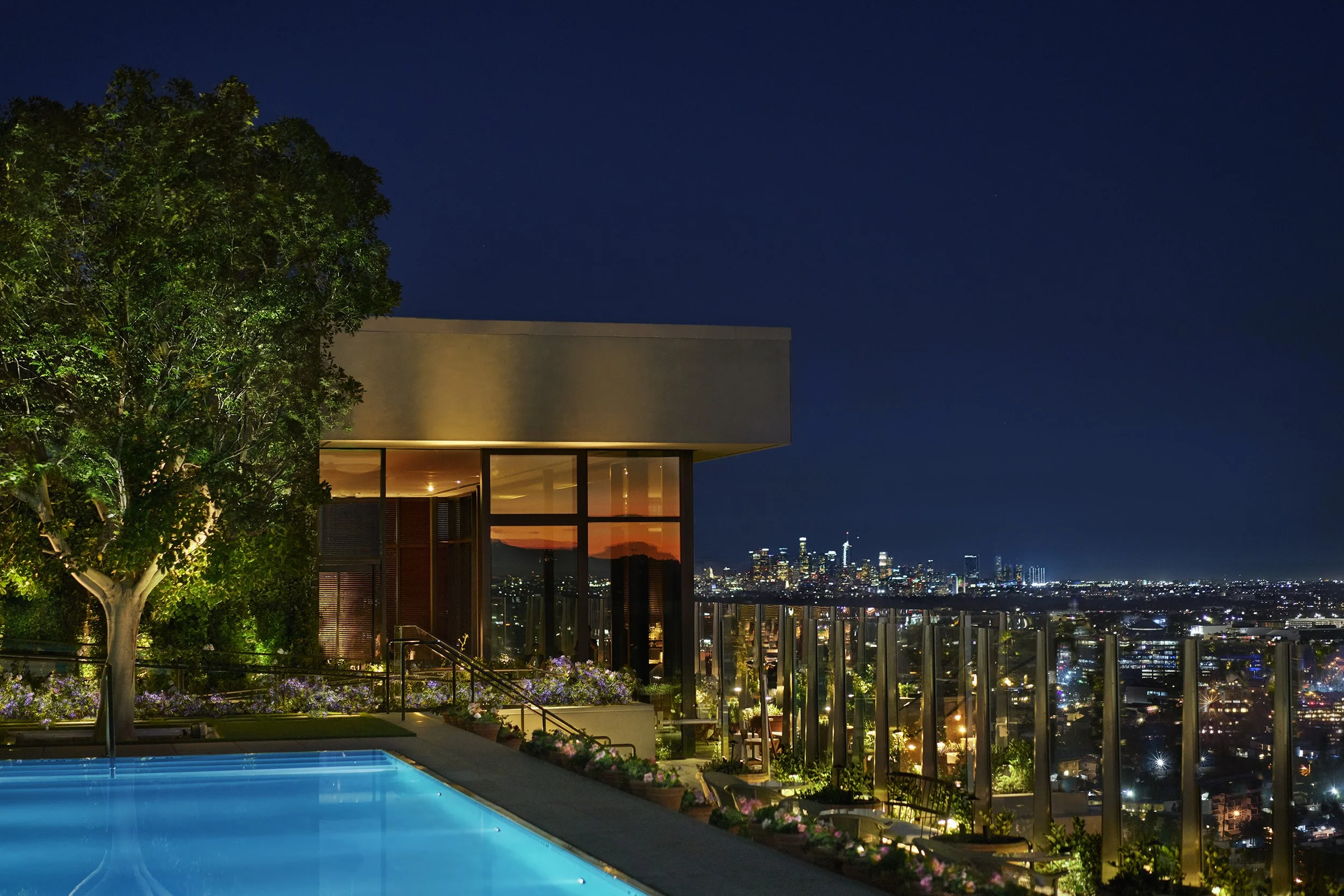 Night view of a rooftop with a swimming pool, a tree, and city skyline in the background.