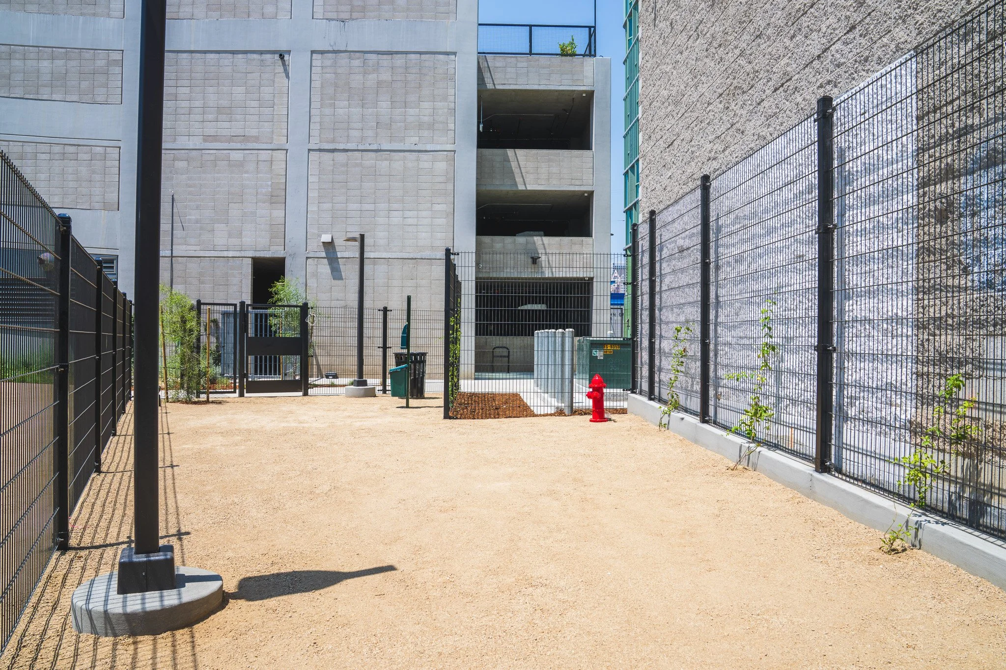 600 San Pedro_Exterior_Dog Park.jpg