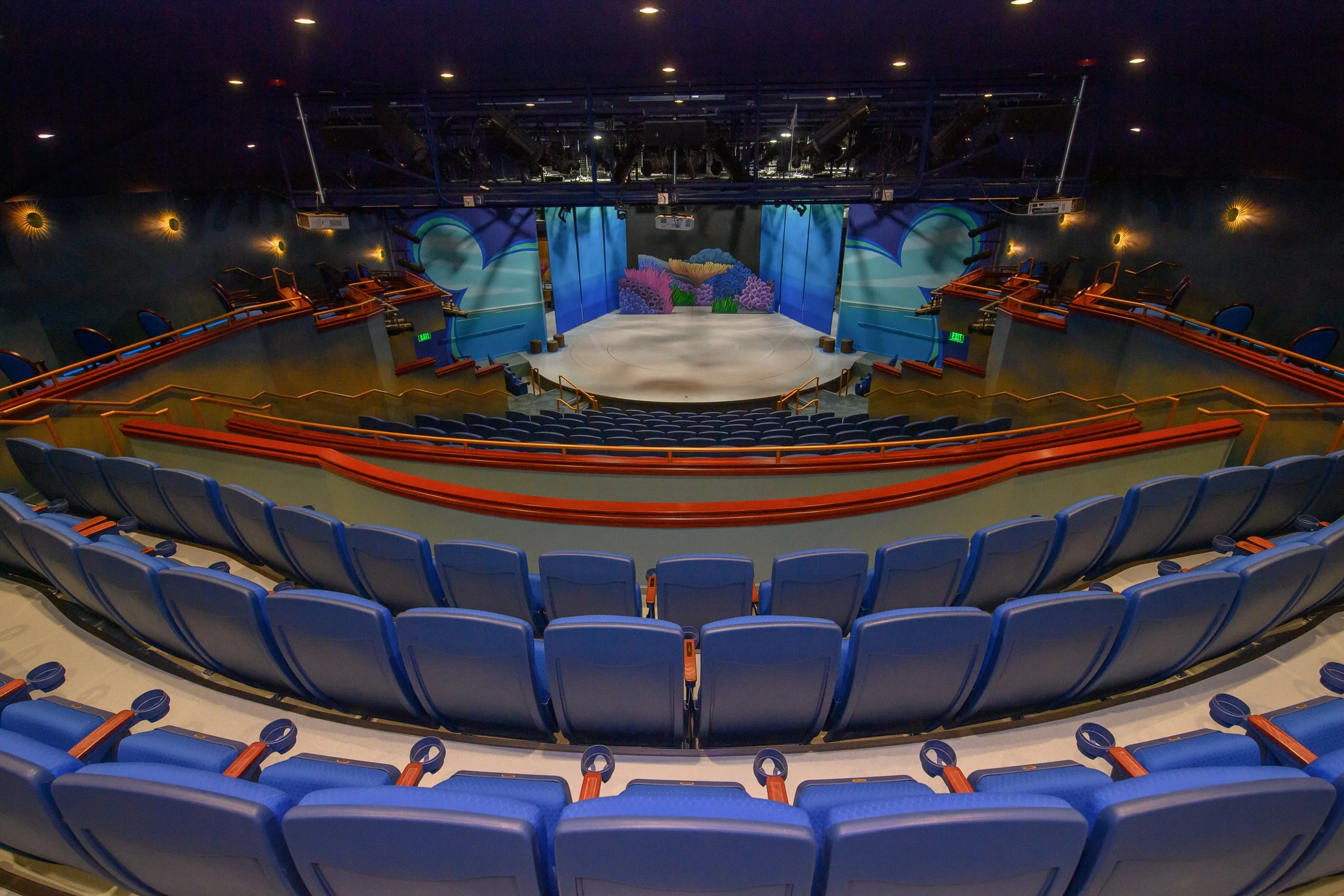 SeeMonterey _ GoldenBough_044_ 20250220.jpg