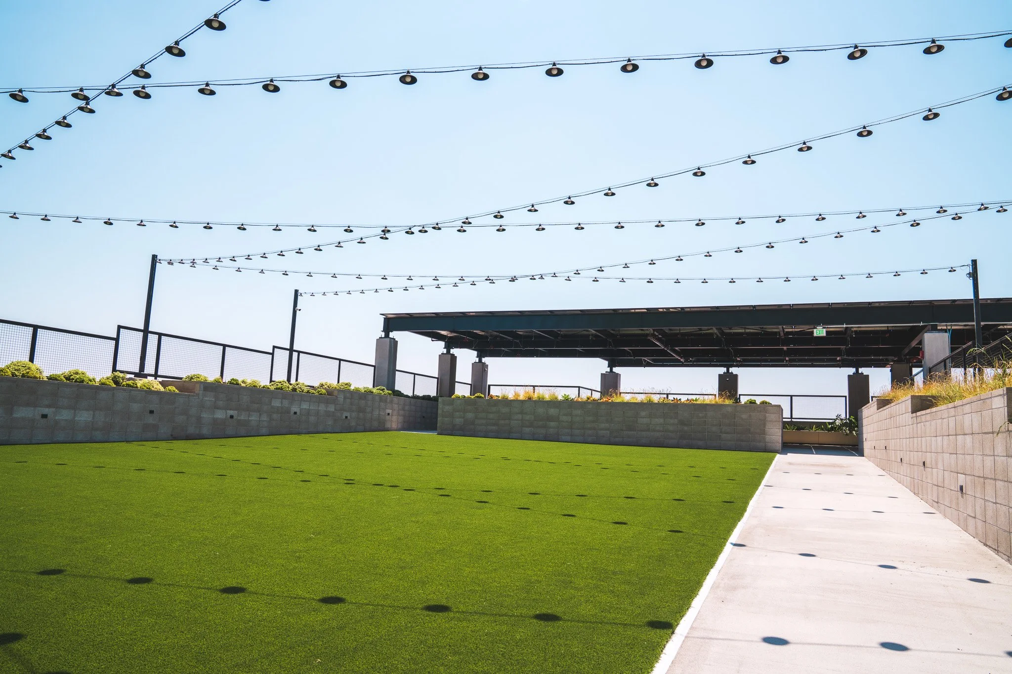 600 San Pedro_ Exterior_Grass Area 1.jpg