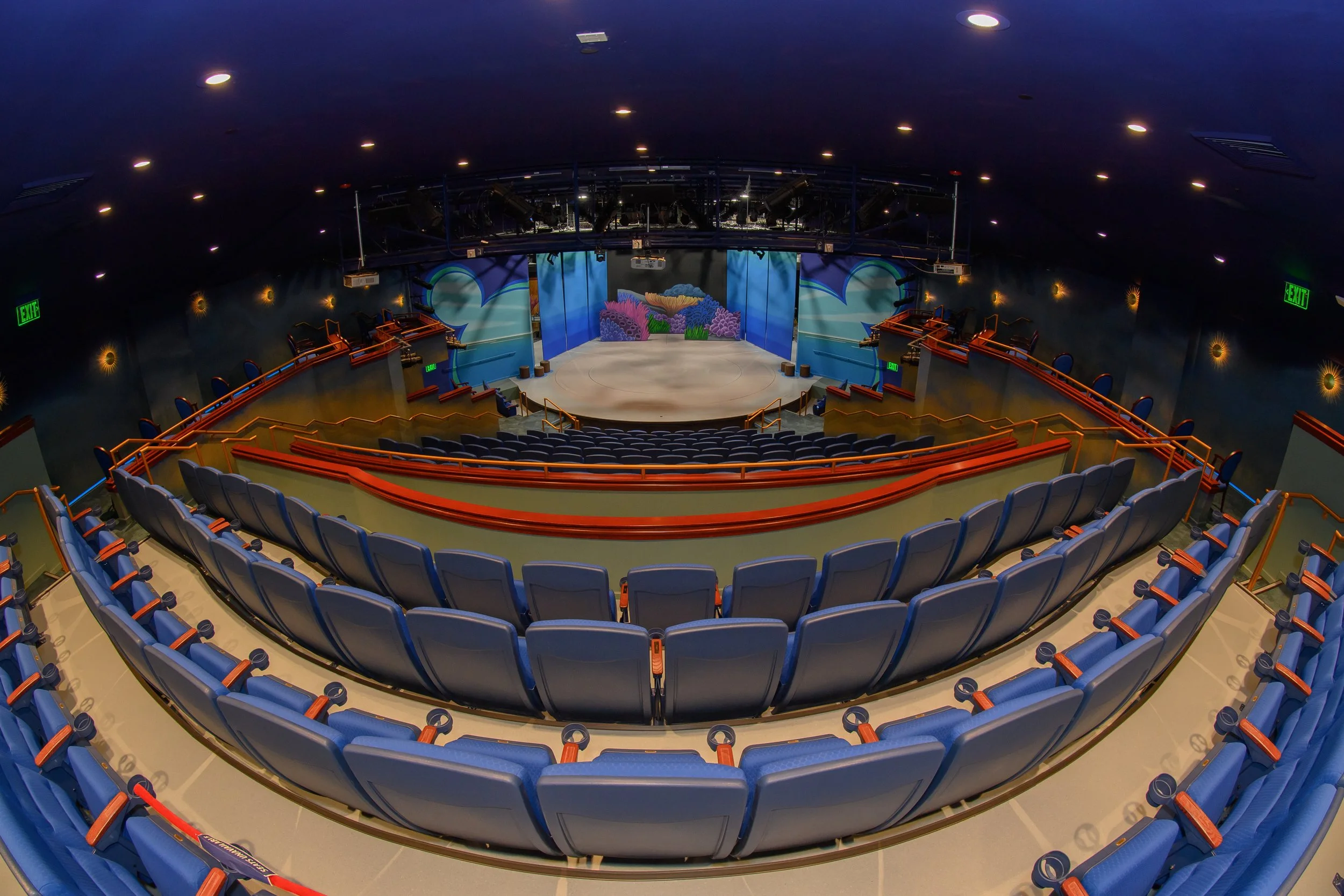 SeeMonterey _ GoldenBough_043_ 20250220.jpg