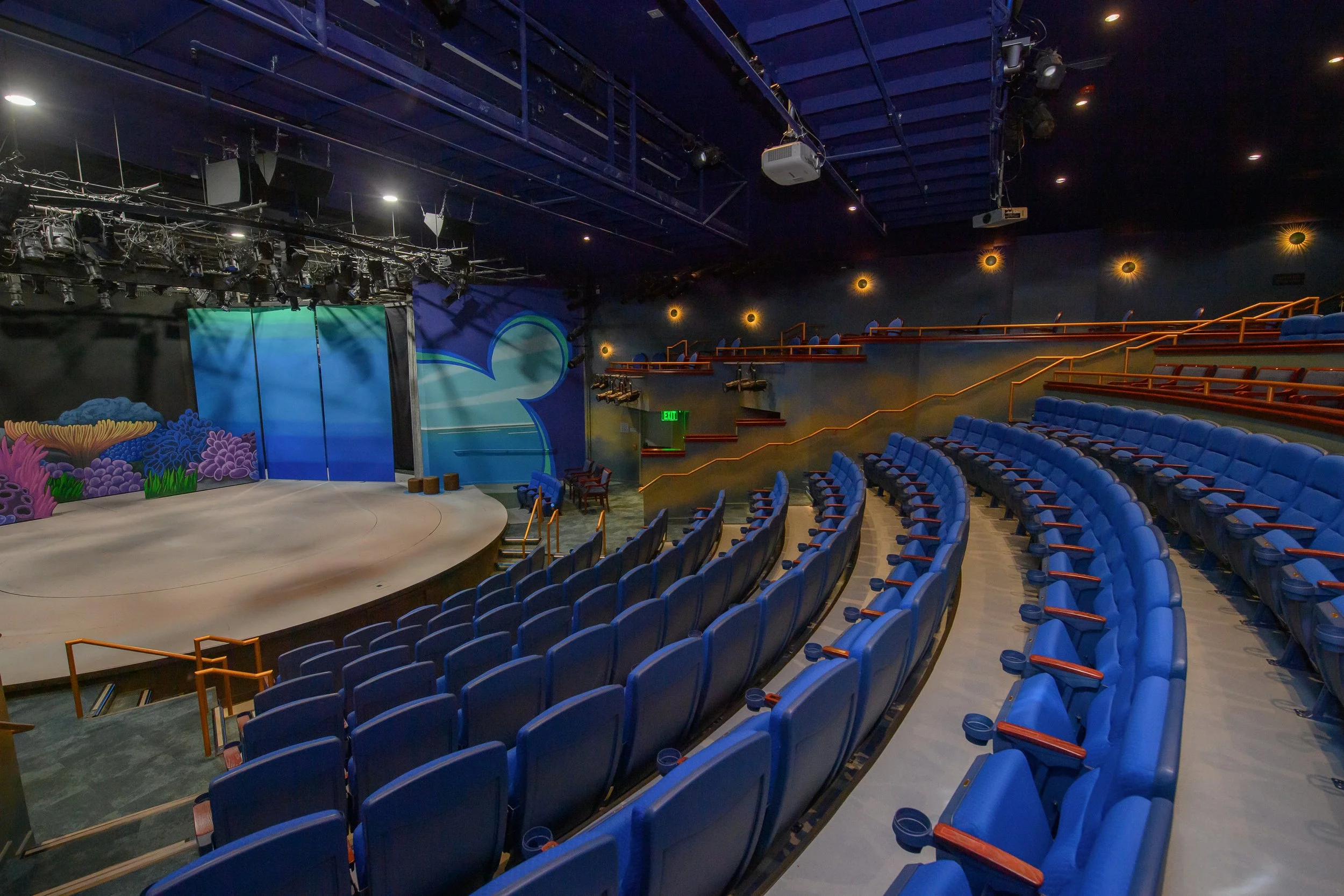 SeeMonterey _ GoldenBough_049_ 20250220.jpg