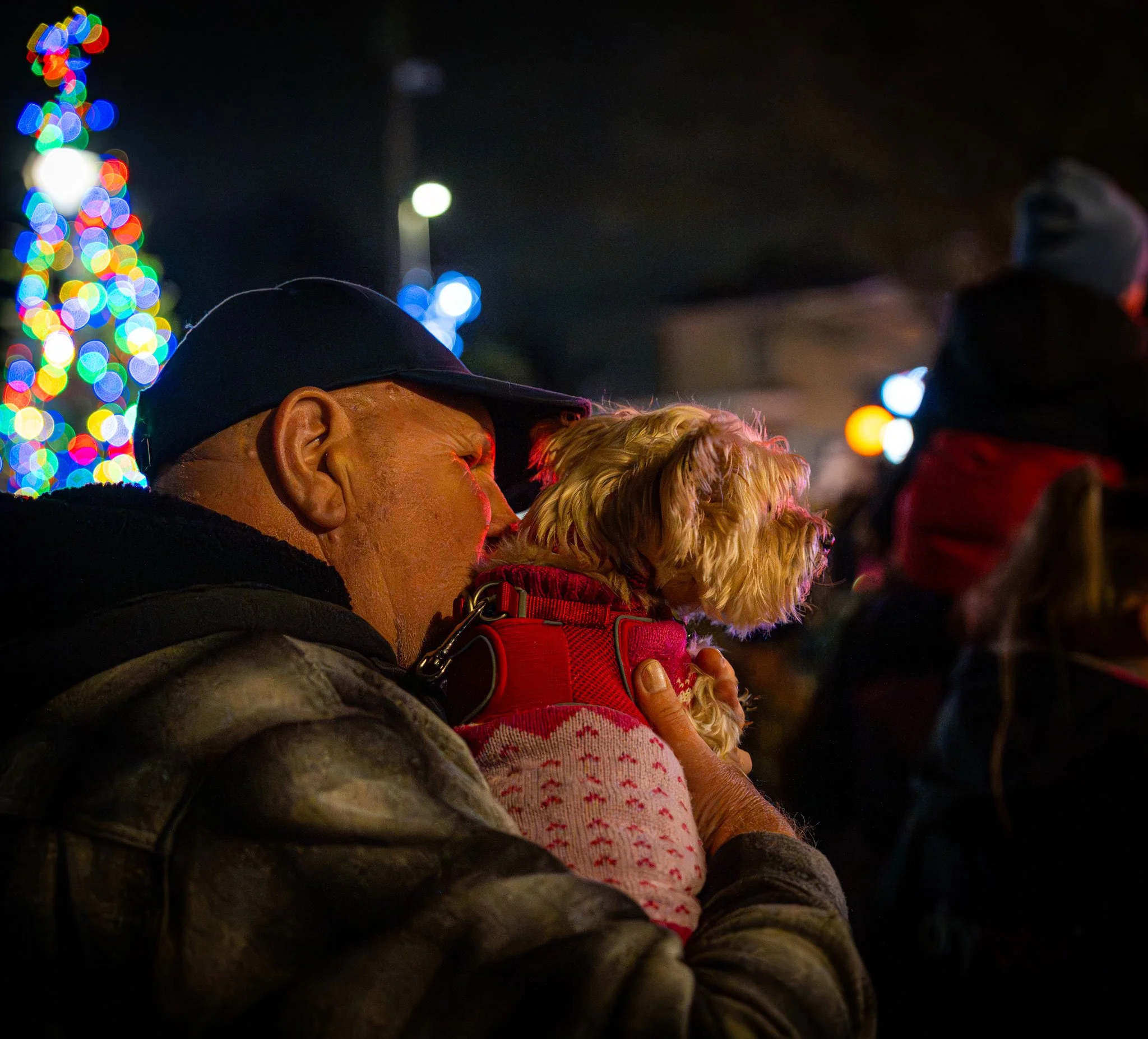 An man holding a small dog wearing a red harness in front of colorful Christmas lights at night.