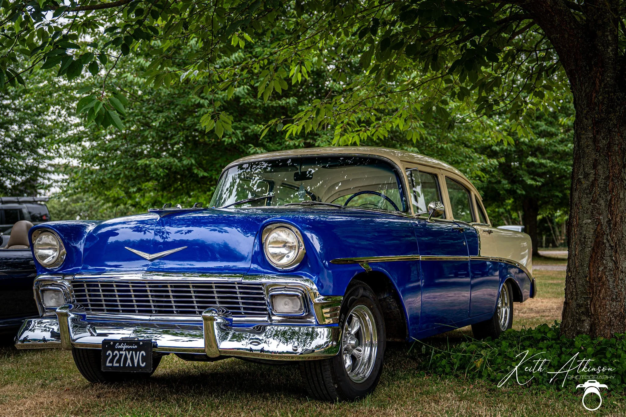 A vintage blue and cream classic car parked under a large tree with lush green leaves.