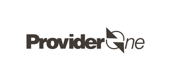Provider One Logo