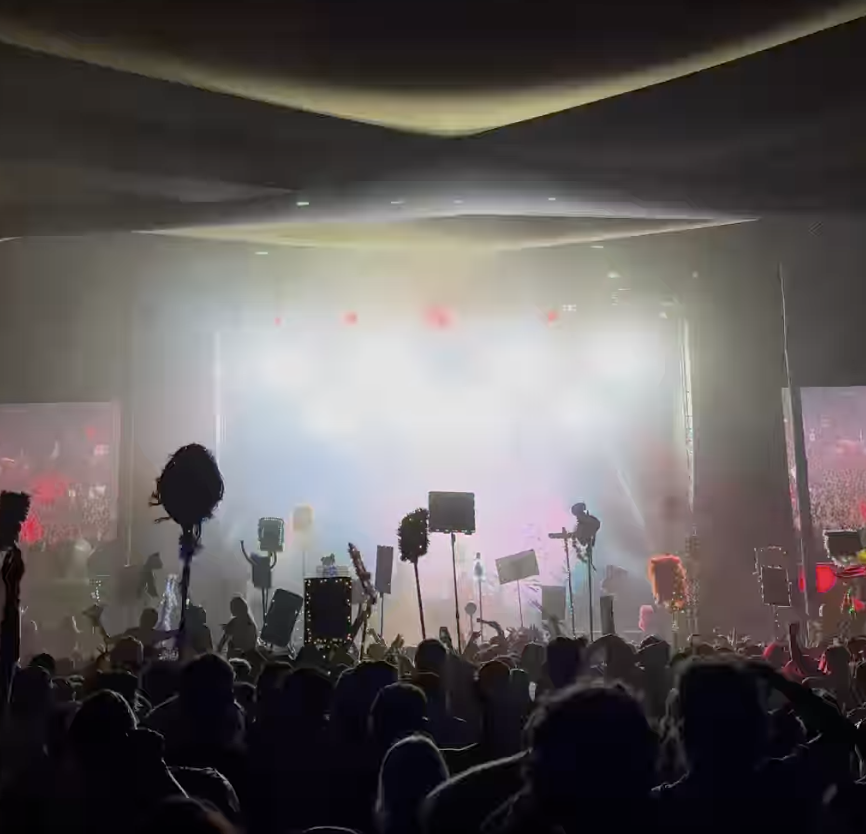 Crowd at a concert or event with bright stage lights and silhouetted figures holding signs and decorations.