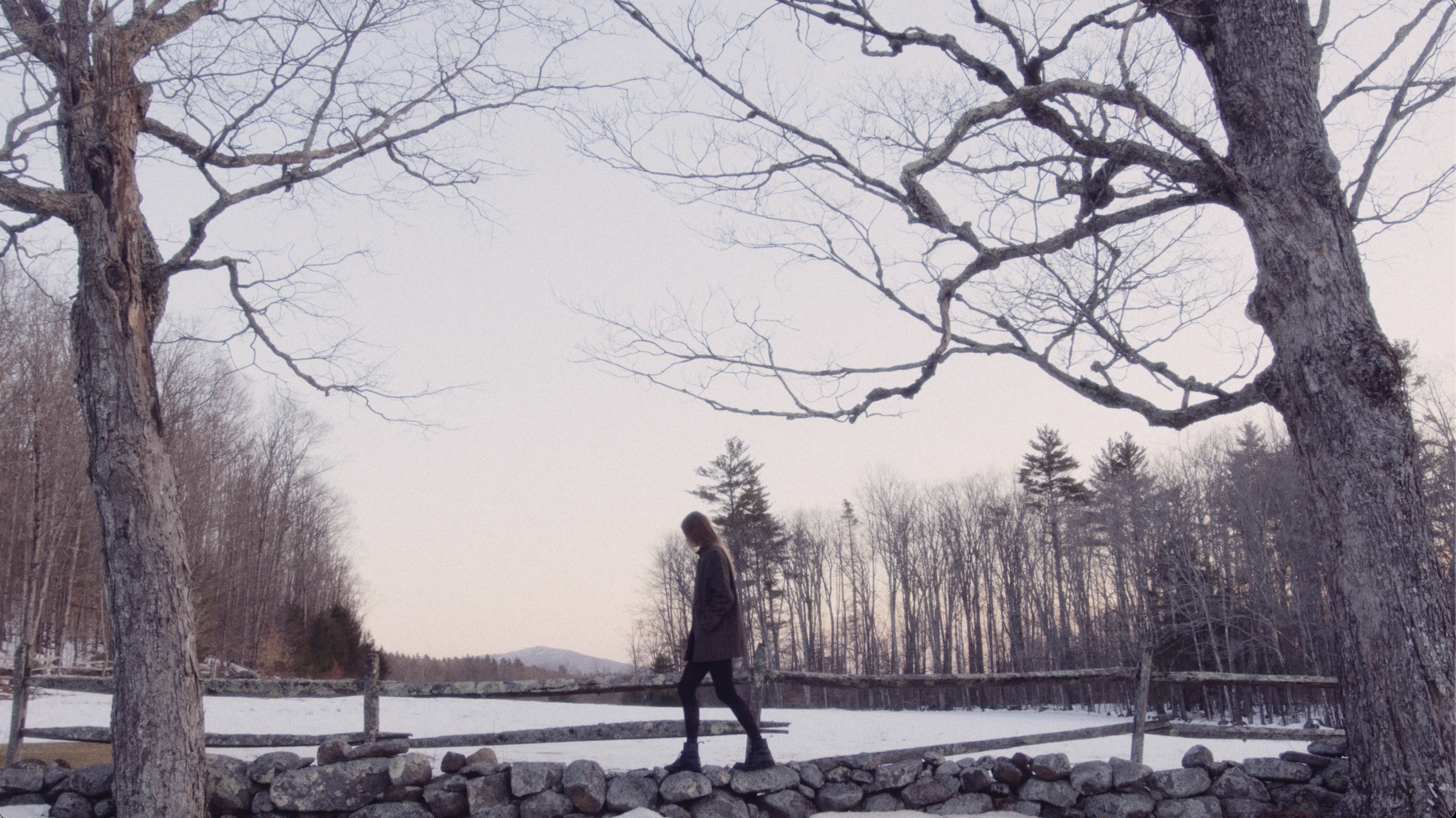 Screen Shot 2023-04-04 at 6.11.50 PM.png