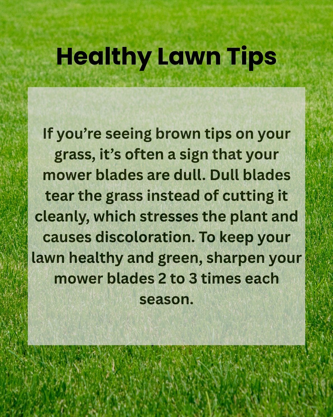 It&rsquo;s Lawn Tip Wednesday! 🌿 We&rsquo;re back with another easy way to keep your lawn looking lush, green, and healthy all season long! 💚 #LawnTipWednesday #GreenGrassGoals #LocalYXE