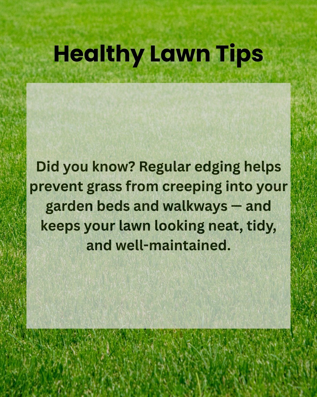 Happy Hump Day! 🐪 Ready for this week&rsquo;s lawn tip to keep your yard looking its best? 🌿 Let&rsquo;s get to it!