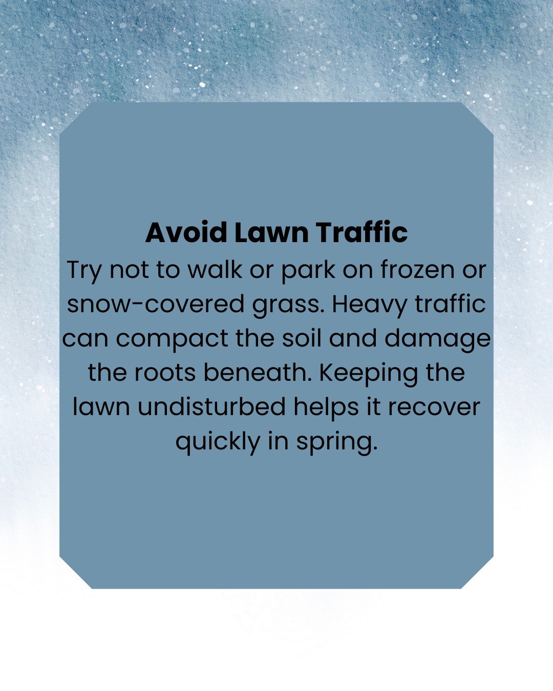 Snow&rsquo;s on the way! ❄️
We&rsquo;ve got some easy winter tips and tricks coming your way to help keep your yard healthy all season long.
Grab a blanket and follow along for more winter wisdom! 🪴
#LocalYXE #Winter2025