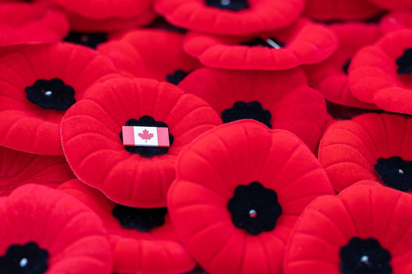 Remembrance Day is a time to reflect and give thanks to the men and women who gave so much for our freedom. Lest we forget.