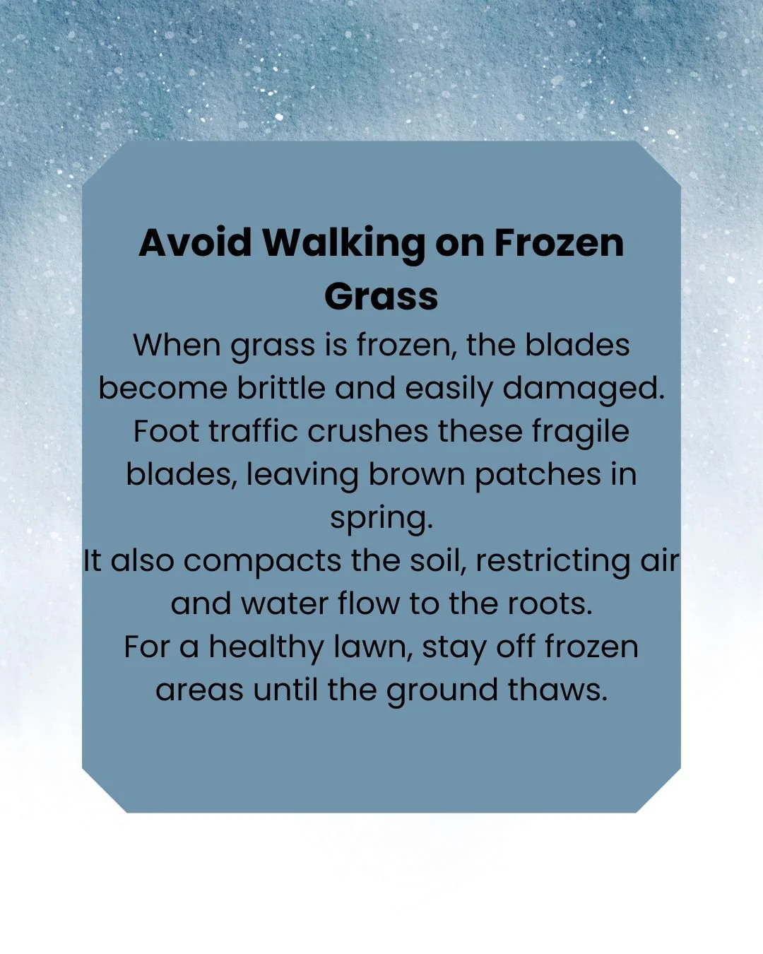 It&rsquo;s Winter Lawn Care Tip Saturday &mdash; keep your grass happy even in the cold!
#SnowTips #LawnCare #LocalYXE