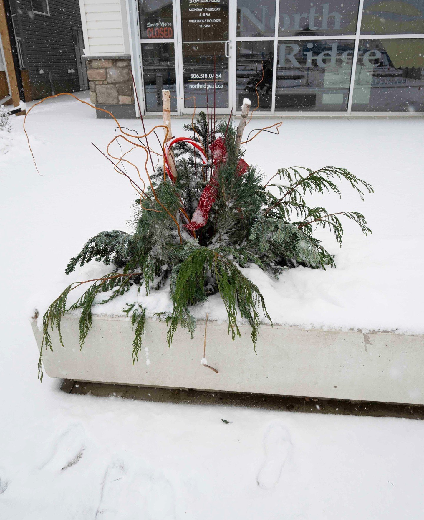 With Christmas just around the corner, we loved helping @paradeyxe bring their holiday arrangements to life. 🌲✨
Take a look when you visit the show homes!

#localyxe #Holidays #ParadeofHomes