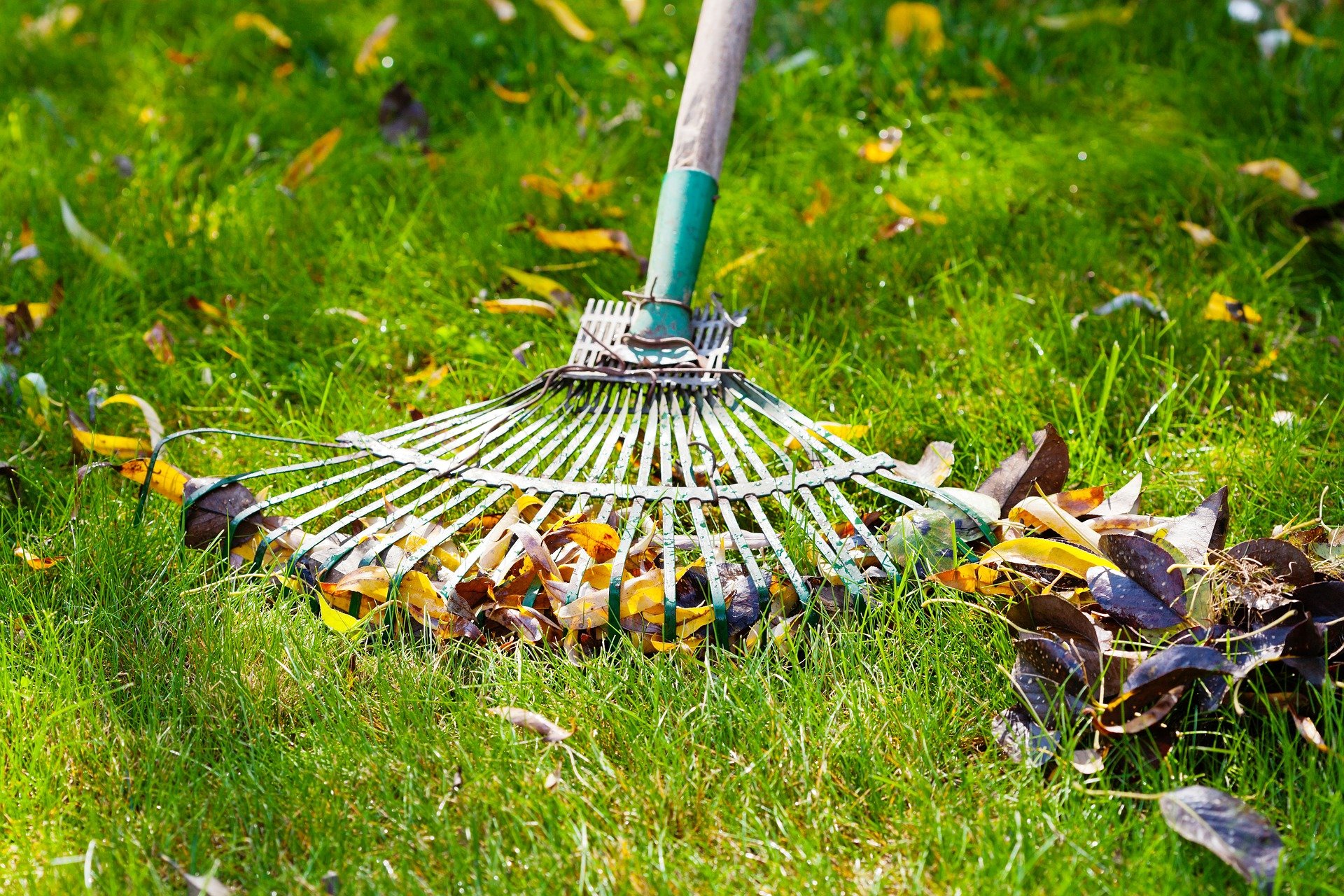 Spring Lawn Care in Saskatoon – How to Wake Up Your Lawn After Winter