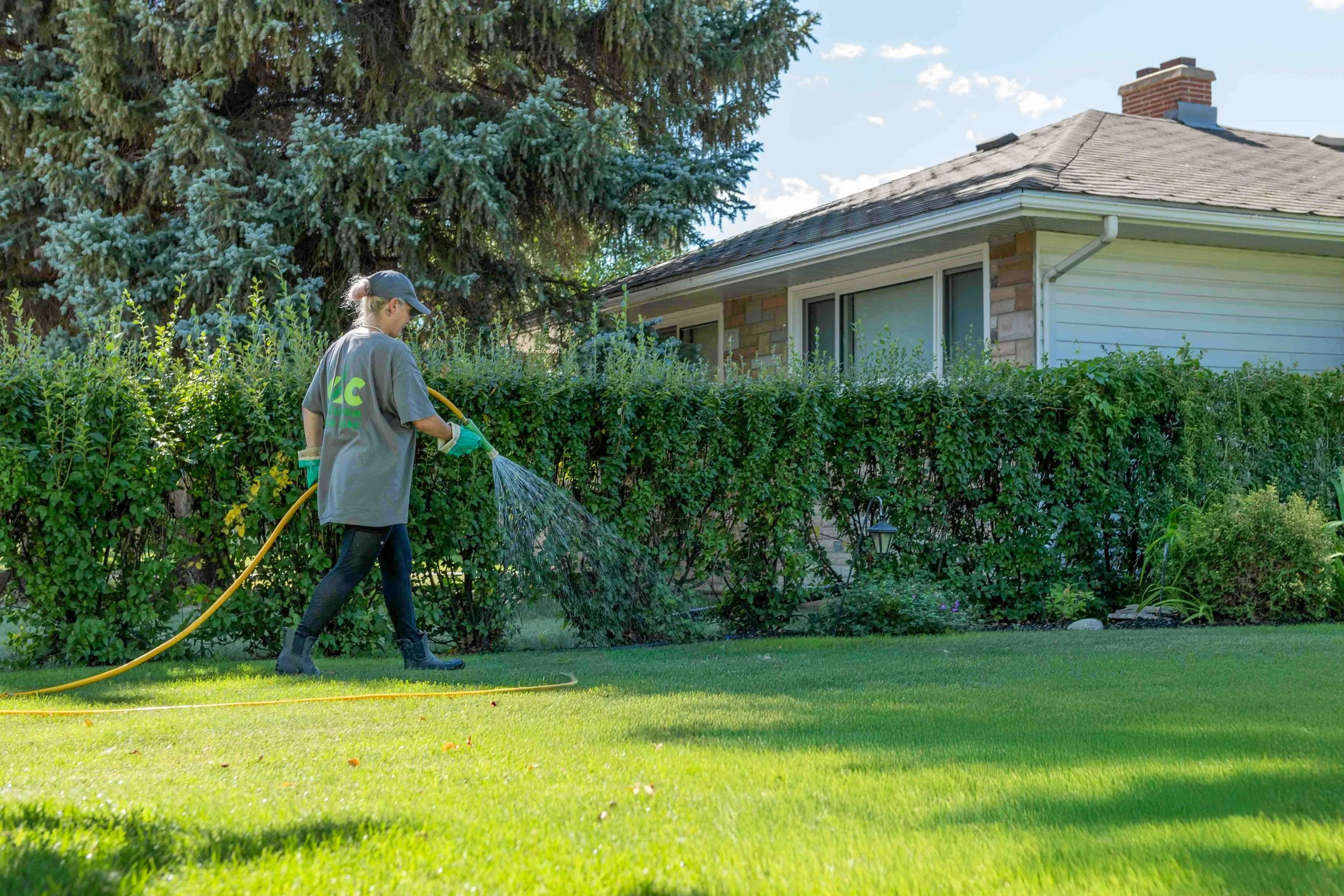 Why Professional Weed Control Beats DIY for Saskatoon Lawns