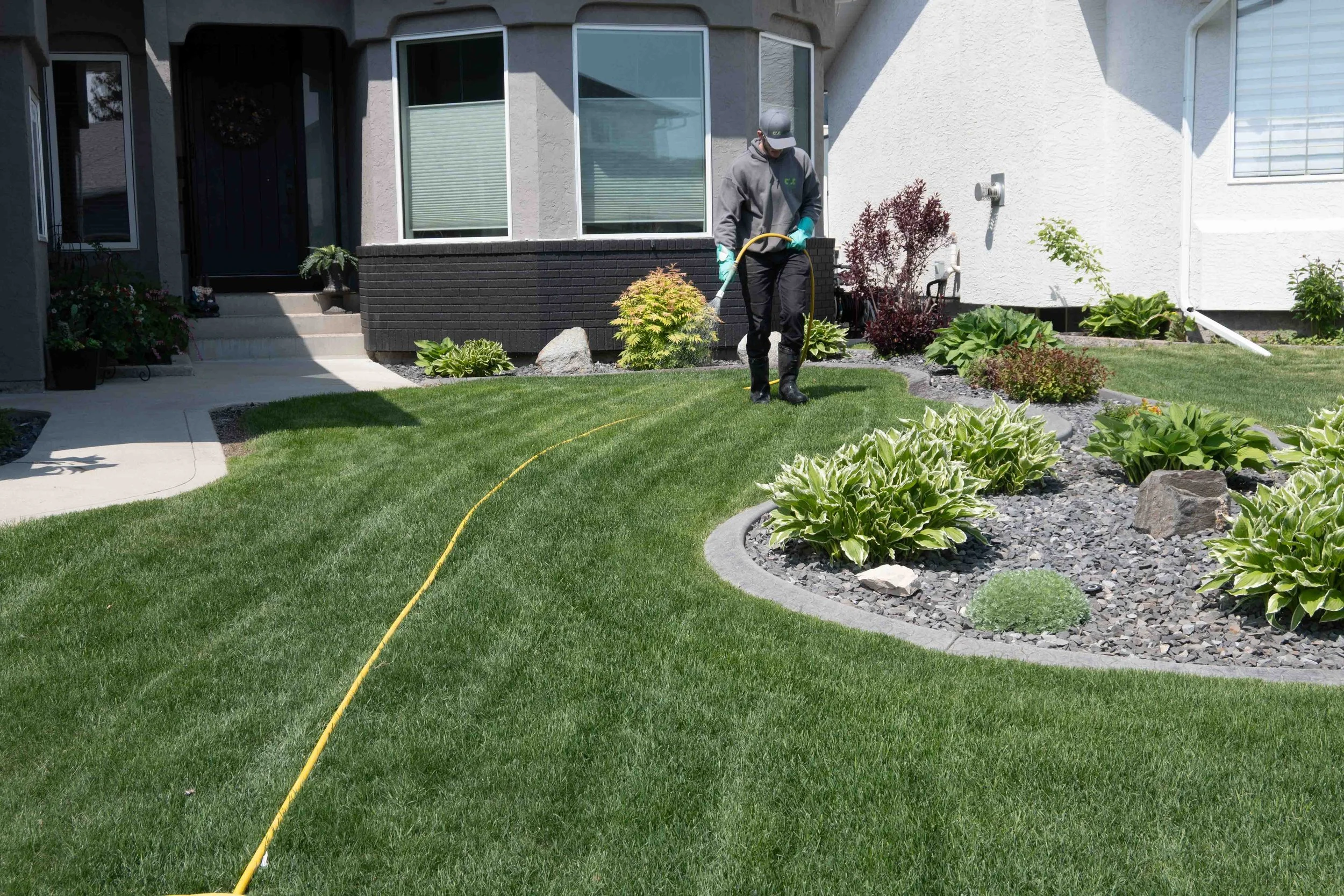 How Regular Lawn Visits Make Yard Care “Effortless”
