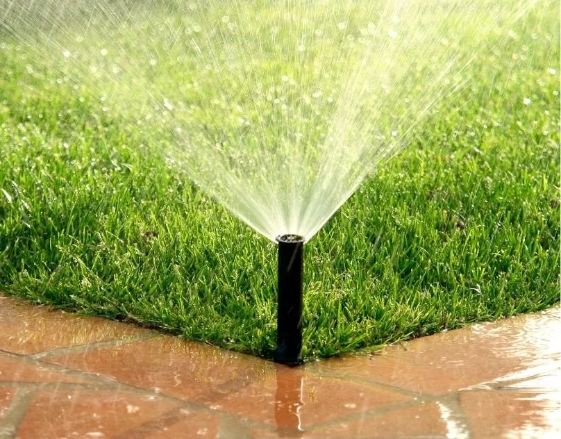 The Right Way to Water Your Lawn in Saskatoon
