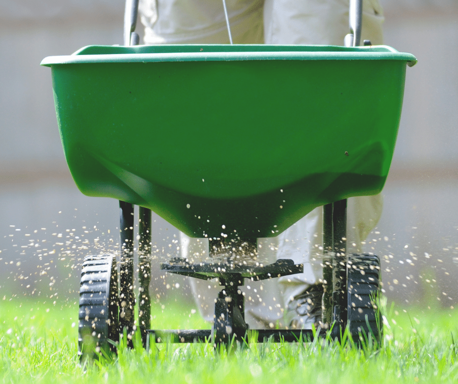 Fertilizing Schedule for a Thick, Green Prairie Lawn