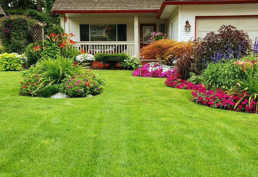 Eco‑Friendly Lawn Care Tips for Saskatoon Homeowners