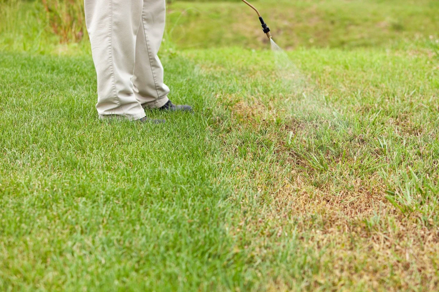 Back by popular demand!
Our Insect Control Program targets pests from chinch bugs to ants, helping your lawn recover while getting rid of unwanted insects. Contact us today to learn more!

#LocalYXE #BugControl #Spring2026