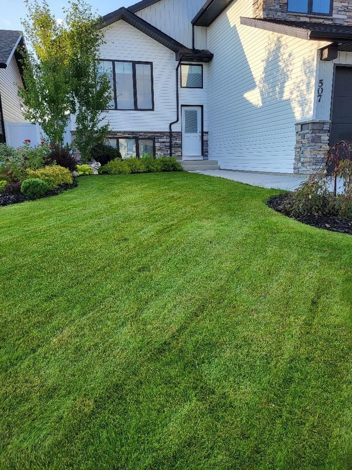 58 days until spring&hellip; but who&rsquo;s counting? 🌱😉

#LocalYXE #GreenerGrass #LawnCare