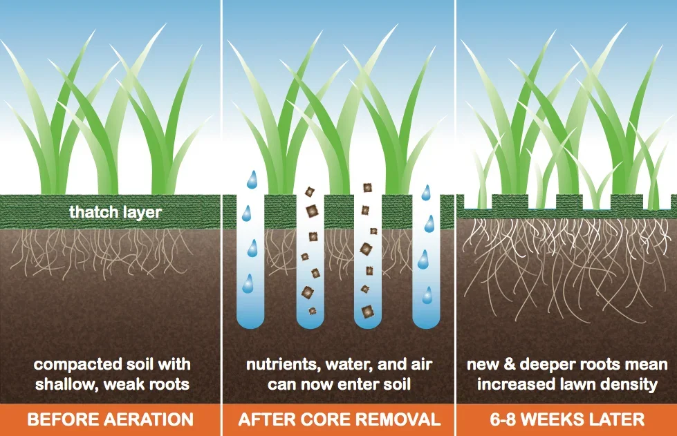 Lawn Core Aeration in Saskatoon