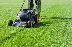Proper Mowing Might Be the Most Underrated Lawn Care Practice