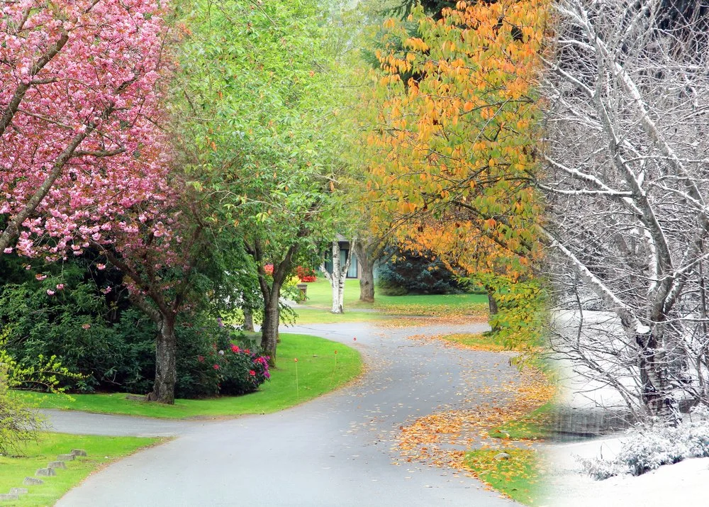 Seasonal Lawn Care Calendar for Saskatoon Lawns