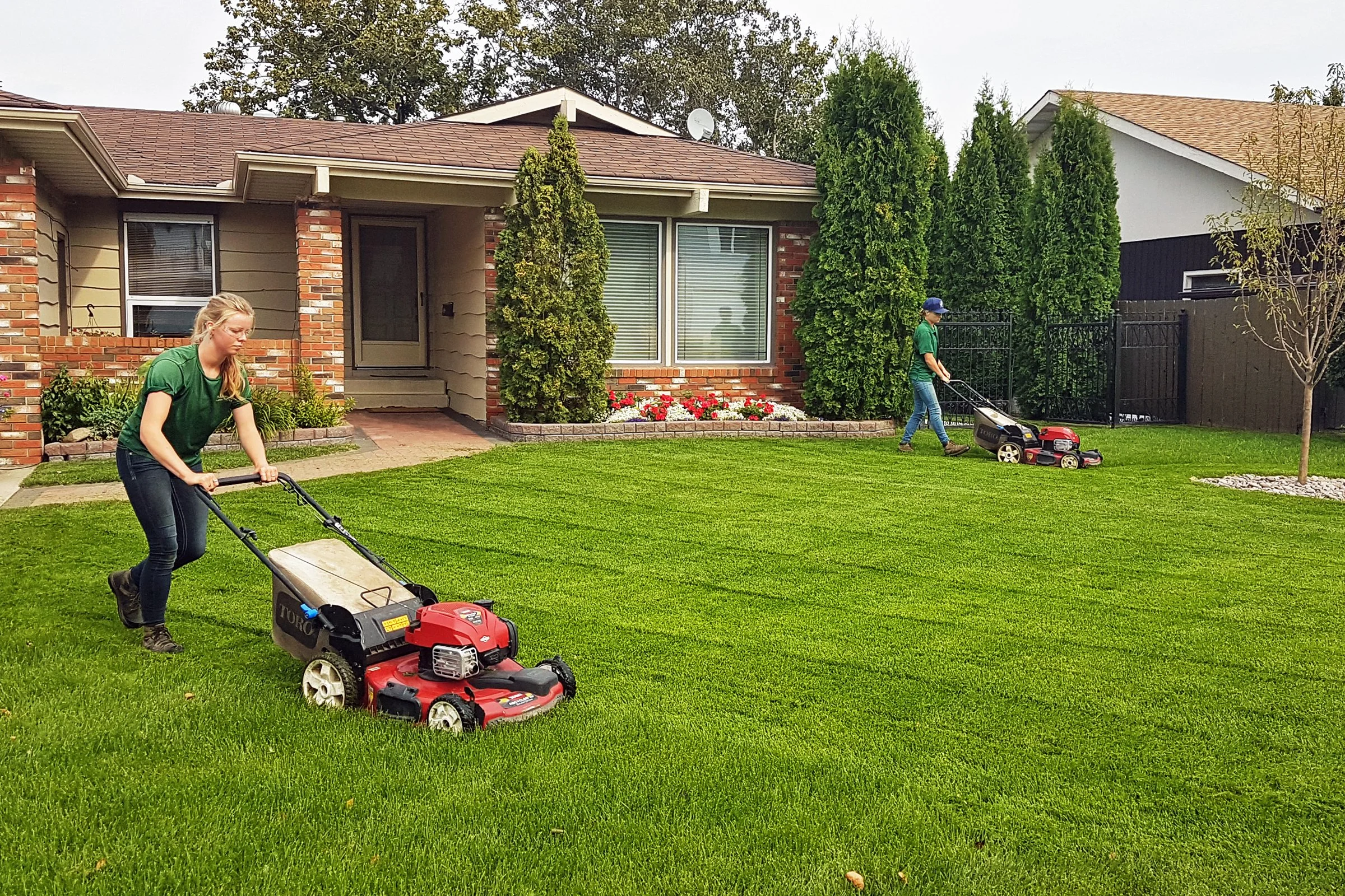 Common Mistakes Homeowners Make With Saskatoon Lawn Care