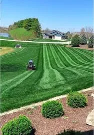 Benefits of Professional Saskatoon Lawn Care Services