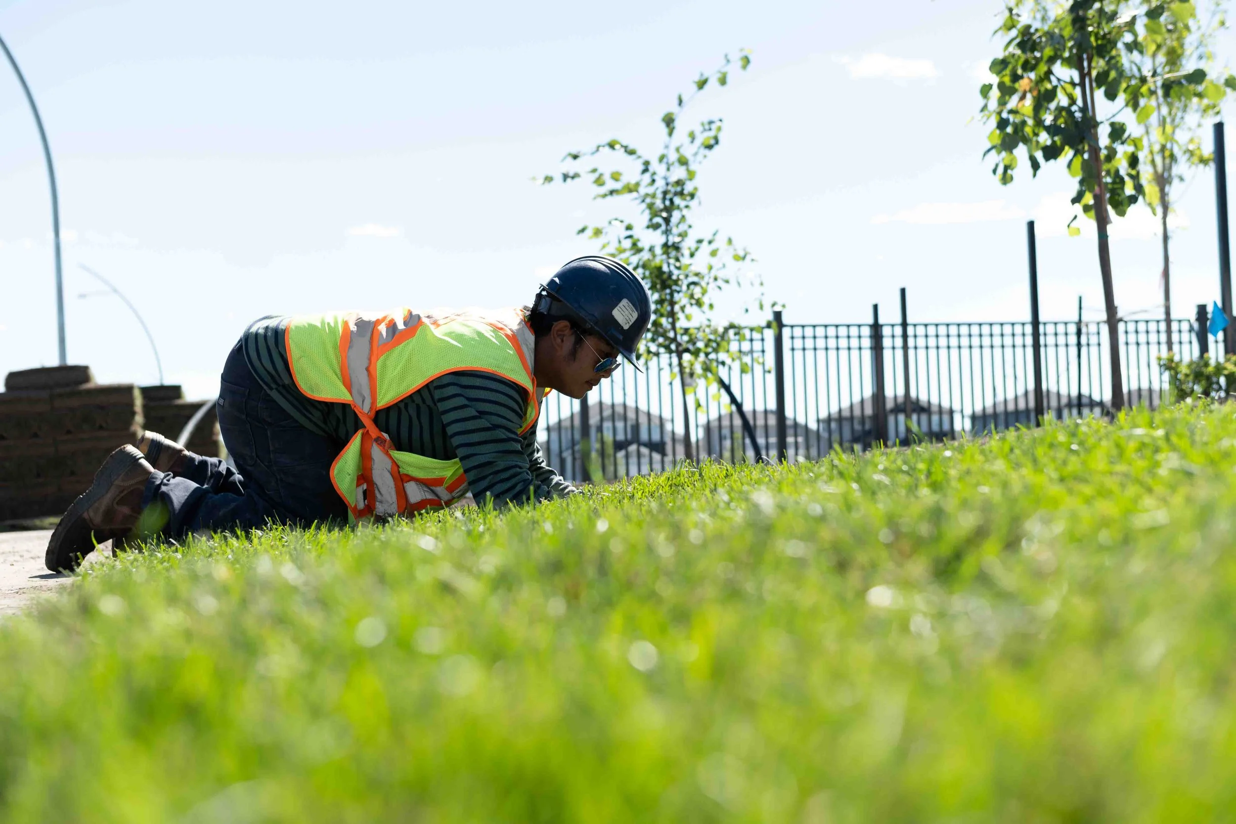 Complete Commercial Lawn Care in Saskatoon for Professional Properties