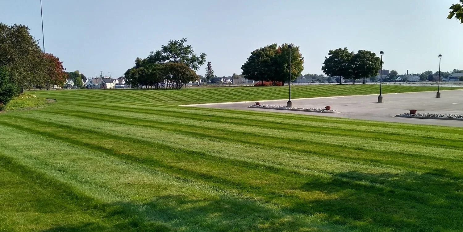 Choosing the Right Commercial Lawn Care Company in Saskatoon