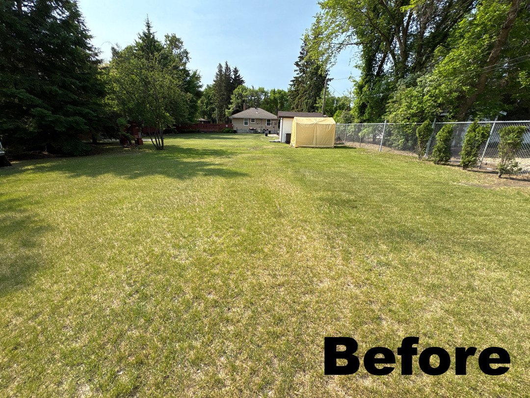 Did you say spring savings? 👀🌸
Book today and score 25% off our 8-Step Program this year!

#LocalYXe #SpringSavings