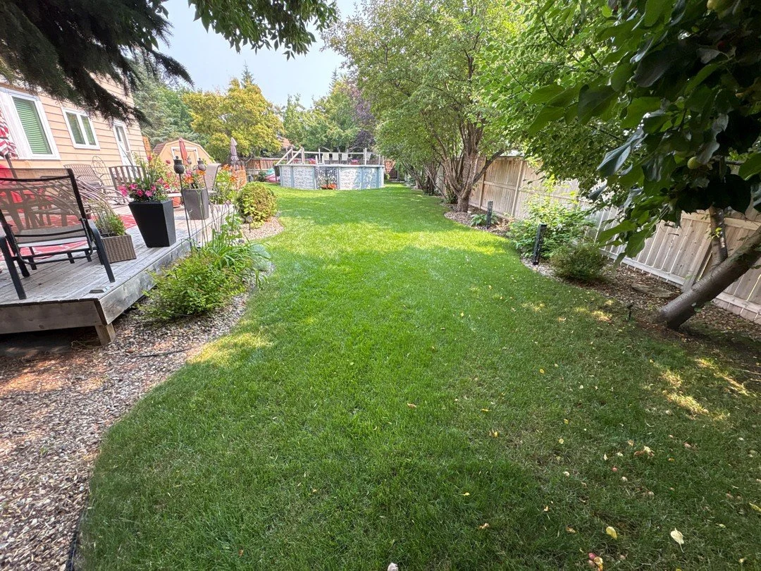 Almost there, friends! 🌞
Spring arrives in 19 days 🌱

#localYXE #Spring2026