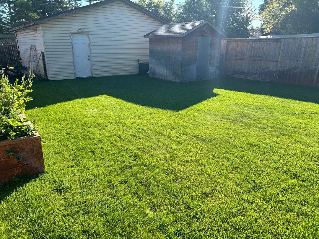 Dreaming of the greenest lawn on the block? 🌱
Our lawn care programs are filling up fast&mdash;book now and get your lawn looking its best this season!

#LocalYXE #BookNow #SpringSavings