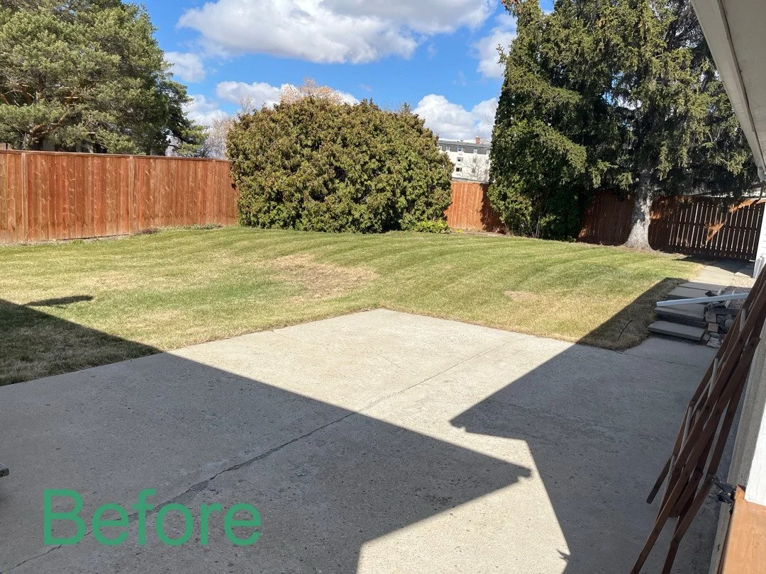 Did winter take a toll on your lawn? ❄️
If your grass looks patchy, matted, or tired, it might be time for a power rake refresh. 🌱

Call us today to book your Power Raking Service and get your lawn ready for the season!

#LocalYXE #PowerRaking #Gree