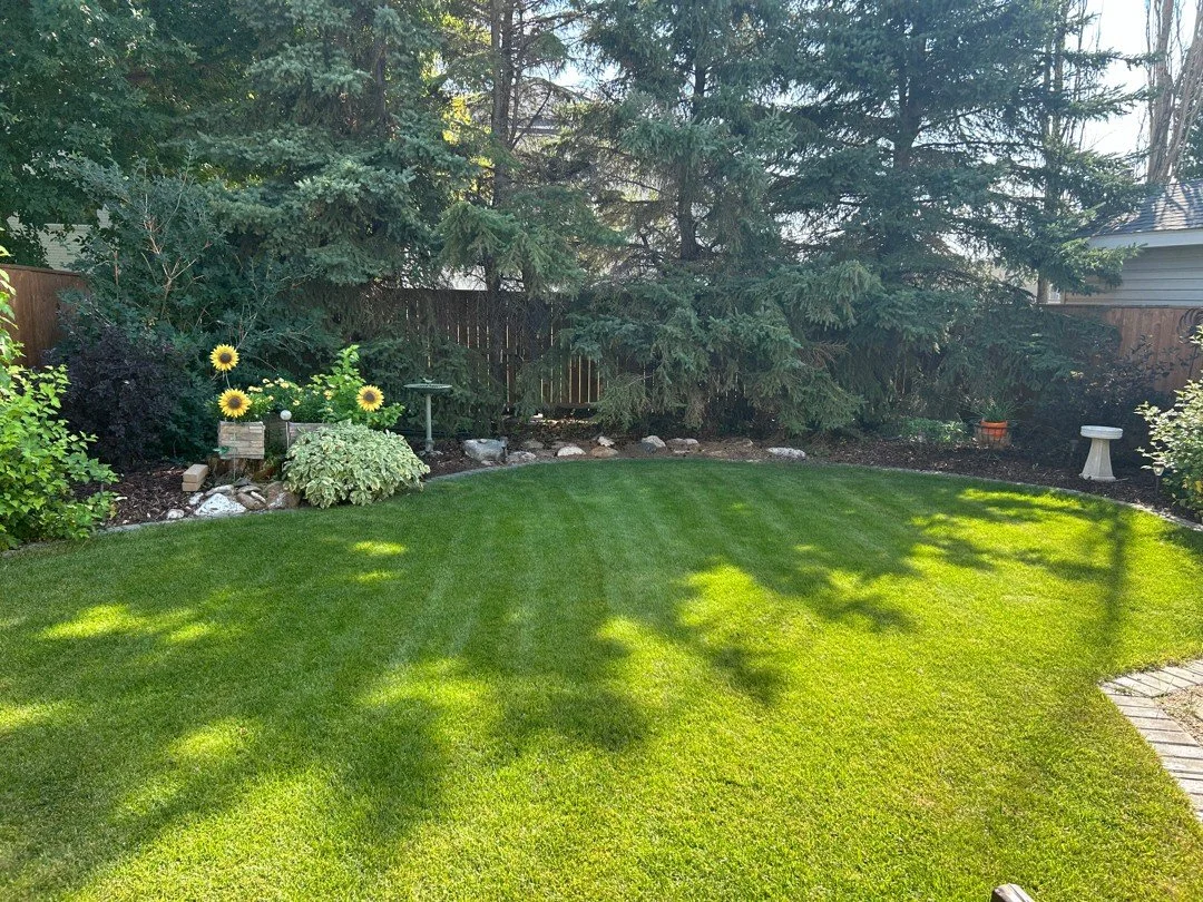 For 40 years, we&rsquo;ve been helping Saskatoon lawns thrive. 🌱

As the longest locally owned and operated lawn care company, we&rsquo;ve learned a thing or two about growing great grass.

Let us help you get the greenest lawn on the block!

#local
